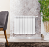 Биметаллический радиатор отопления Fondital 500/100 Alustal Plus 12 секций