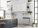 Биметаллический радиатор отопления Royal Thermo BiLiner 500 VR 6 секций Silver Satin