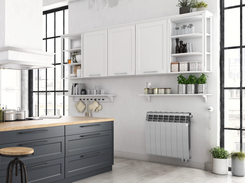 Биметаллический радиатор отопления Royal Thermo BiLiner 500 VR 6 секций Silver Satin